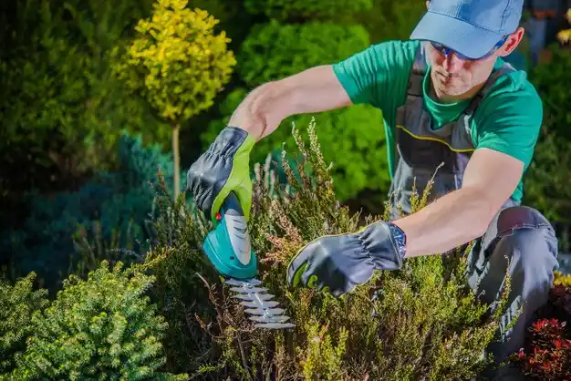 landscaping services Munsons Corners